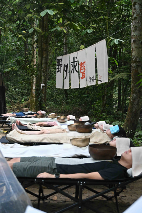 野外求聲之醒在河床【森森：摸魚要趁早】10月10-11日
