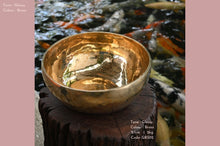 Load image into Gallery viewer, 【 BISWAS 信念 】滑光調 glossy ／ 黃銅色 brass （goldish 類似金色）
